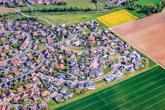 Nom de l'arbre Quartier à Werneck dans le département Bavière, Allemagne
