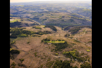 Gravement endommagée par les scolytes dans les zones de la forêt franconienne à l'est, cette partie de la route forestière franconienne à le quartier Ottendorf in Ludwigsstadt dans le département Bavière, Allemagne