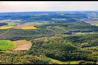 Réserve naturelle « Ruine Homburg » et ruines du château de Homburg près de Gössenheim à Gössenheim dans le département Bavière, Allemagne
