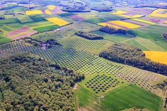 Le parc solaire de Gut Erlasee, actuellement en cours de démantèlement, est équipé de panneaux à suivi solaire. à le quartier Büchold in Arnstein dans le département Bavière, Allemagne