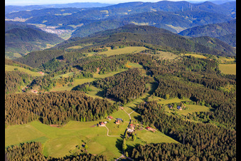 Moosenmättle avec Bergstüble et Hinterer Liefersbergerhof à le quartier Diesenhof in Lauterbach dans le département Bade-Wurtemberg, Allemagne