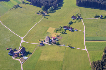 Fermes déplacées à Oehle à le quartier Tennenbronn in Schramberg dans le département Bade-Wurtemberg, Allemagne