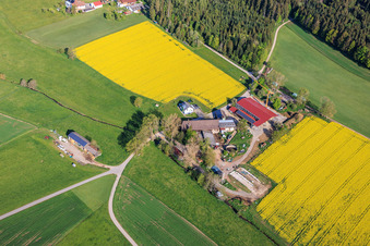 Ferme déplacée dans le district de Stampfe à Dunningen dans le département Bade-Wurtemberg, Allemagne