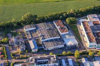 Rose Druck GmbH à Landau in der Pfalz dans le département Rhénanie-Palatinat, Allemagne