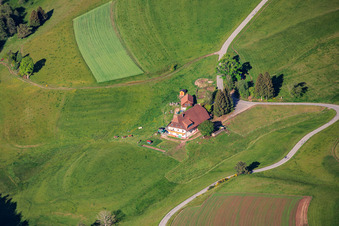 Forêt-Noire à Mooswald à le quartier Diesenhof in Lauterbach dans le département Bade-Wurtemberg, Allemagne