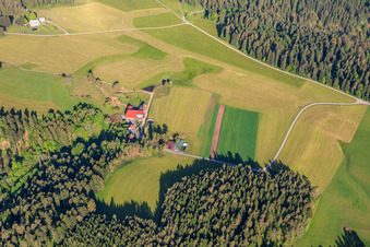 Fermes de la Forêt-Noire à le quartier Unter-Reichenbach in Hornberg dans le département Bade-Wurtemberg, Allemagne