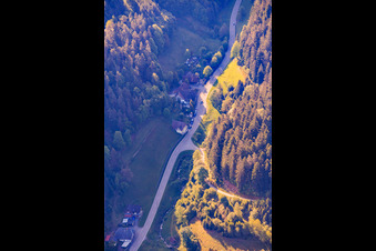 Talstraße au Reichenbach avec Heizmershof à le quartier Reichenbach in Hornberg dans le département Bade-Wurtemberg, Allemagne