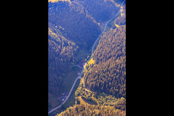 Talstraße au Reichenbach avec Heizmershof à le quartier Reichenbach in Hornberg dans le département Bade-Wurtemberg, Allemagne