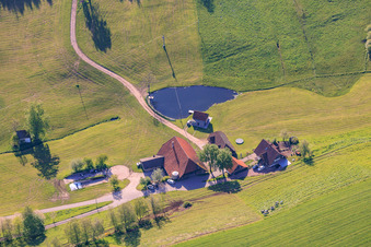 Appartement de vacances Sägebauernhof à le quartier Reichenbach in Hornberg dans le département Bade-Wurtemberg, Allemagne