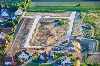 Herxheimweyher