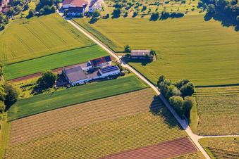 Kehler Hof à le quartier Ingenheim in Billigheim-Ingenheim dans le département Rhénanie-Palatinat, Allemagne