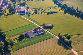Kehler Hof à le quartier Ingenheim in Billigheim-Ingenheim dans le département Rhénanie-Palatinat, Allemagne