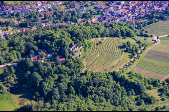 Château de Kropsburg à le quartier SaintMartin in Sankt Martin dans le département Rhénanie-Palatinat, Allemagne