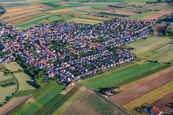 Du sud-ouest à le quartier Mechtersheim in Römerberg dans le département Rhénanie-Palatinat, Allemagne