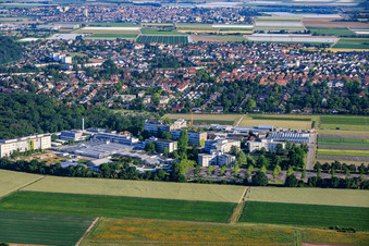 Limburgerhof