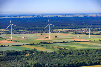 Erlenbach bei Kandel