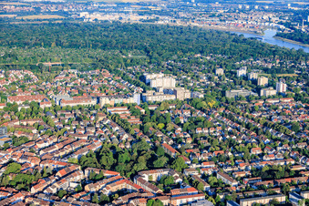 Vue d'ensemble du quartier depuis l'est, du parc August-Bebel jusqu'au parc forestier sur les rives du Rhin. à le quartier Neckarau in Mannheim dans le département Bade-Wurtemberg, Allemagne