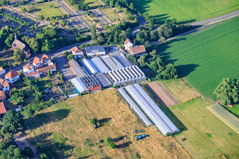 Plant World Service - Centre de jardinage à le quartier Iggelheim in Böhl-Iggelheim dans le département Rhénanie-Palatinat, Allemagne