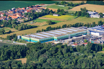 Parc industriel Horst au nord-est avec entrepôt de Frischeplattform Südwest GmbH à le quartier Minderslachen in Kandel dans le département Rhénanie-Palatinat, Allemagne