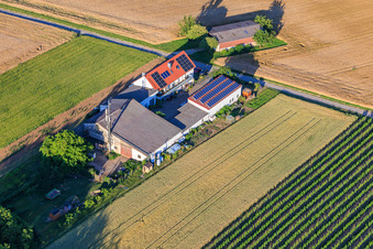 Ferme de Kehler Hof à le quartier Ingenheim in Billigheim-Ingenheim dans le département Rhénanie-Palatinat, Allemagne