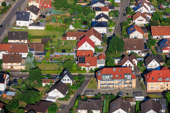 Dans la roseraie à Winden dans le département Rhénanie-Palatinat, Allemagne
