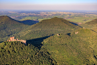 Trois châteaux : Trifels, Anebos, Jungturm Münz et la tour rénovée Scharfenberg à le quartier Bindersbach in Annweiler am Trifels dans le département Rhénanie-Palatinat, Allemagne