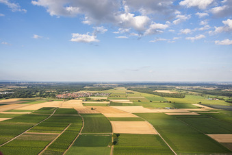 Billigheim-Ingenheim