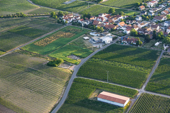 Caviste Weingut Familie Sauer à le quartier Nußdorf in Landau in der Pfalz dans le département Rhénanie-Palatinat, Allemagne
