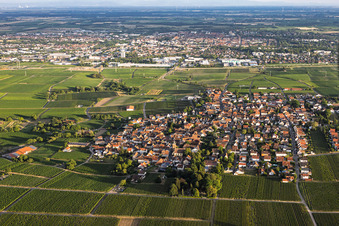 Village viticole du nord à le quartier Nußdorf in Landau in der Pfalz dans le département Rhénanie-Palatinat, Allemagne