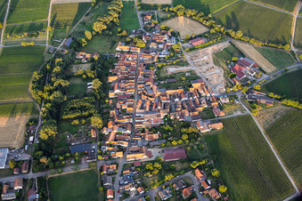 Vue du village depuis l'ouest en soirée, avec le nouveau lotissement du domaine viticole de Lindenhof. à le quartier Klingen in Heuchelheim-Klingen dans le département Rhénanie-Palatinat, Allemagne