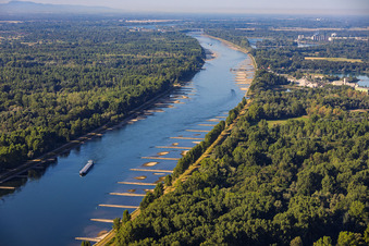 Rhin en période d'étiage à Munchhausen dans le département Bas Rhin, France