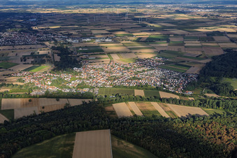 De l'est à Hördt dans le département Rhénanie-Palatinat, Allemagne