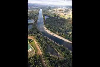 Banquets et épis à marée basse sur le Rhin entre Hördter Rheinaue et Rott Island à Hördt dans le département Rhénanie-Palatinat, Allemagne