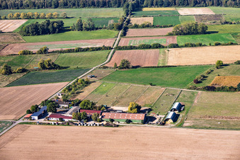 Haras de Römerhof à le quartier Richen in Groß-Umstadt dans le département Hesse, Allemagne