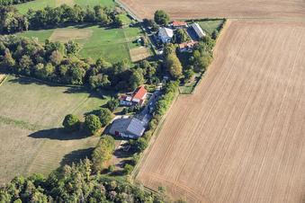 Fermes près de Schlierbach à le quartier Klein-Umstadt in Groß-Umstadt dans le département Hesse, Allemagne