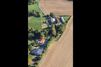 Fermes près de Schlierbach à le quartier Klein-Umstadt in Groß-Umstadt dans le département Hesse, Allemagne