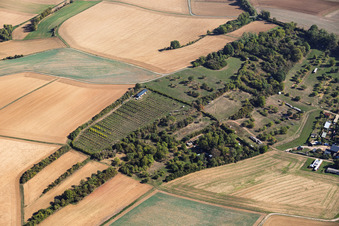 Pépinière à l'Ancienne Aqueduc Mosbach à le quartier Mosbach in Schaafheim dans le département Hesse, Allemagne