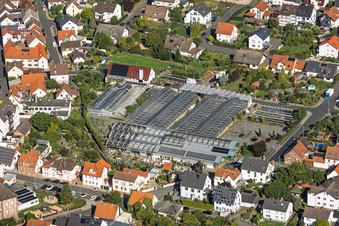 Serres de la ville de Berchtenbreiter Flowers à Großostheim dans le département Bavière, Allemagne