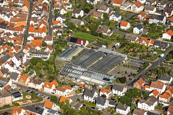 Serres de la ville de Berchtenbreiter Flowers à Großostheim dans le département Bavière, Allemagne