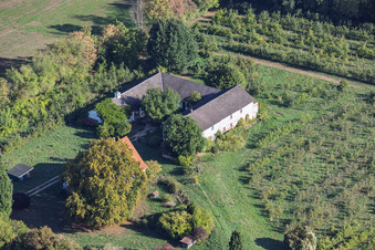 Pommes bio Wolff à Straßenmühle à le quartier Langstadt in Schaafheim dans le département Hesse, Allemagne