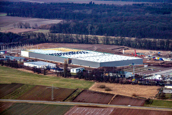 Vue aérienne de Construction d'un nouveau hall logistique dans la zone industrielle d'Am Horst à le quartier Minderslachen in Kandel dans le département Rhénanie-Palatinat, Allemagne