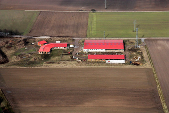 Vue aérienne de Ferme de réinstallation à Erlenbach bei Kandel dans le département Rhénanie-Palatinat, Allemagne