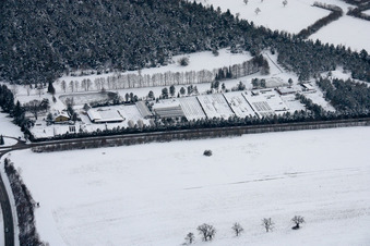 Vue aérienne de Oasis végétale Ralf Jansen à le quartier Spielberg in Karlsbad dans le département Bade-Wurtemberg, Allemagne