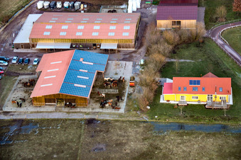 Vue aérienne de Haras islandais de Bienwald à Freckenfeld dans le département Rhénanie-Palatinat, Allemagne