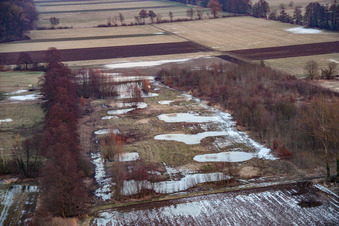 Vue aérienne de Les prairies d'Otterbachtal inondées par les eaux de fonte à Minfeld dans le département Rhénanie-Palatinat, Allemagne