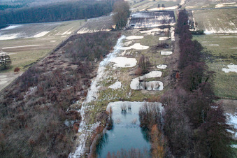 Vue aérienne de Les prairies d'Otterbachtal inondées par les eaux de fonte à Minfeld dans le département Rhénanie-Palatinat, Allemagne
