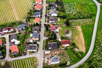 Vue aérienne de Route de contournement à Oberotterbach dans le département Rhénanie-Palatinat, Allemagne