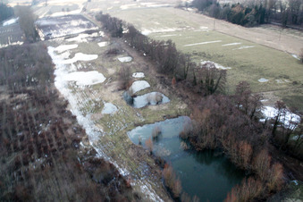 Vue aérienne de Biotope d'Otterbach à Minfeld dans le département Rhénanie-Palatinat, Allemagne