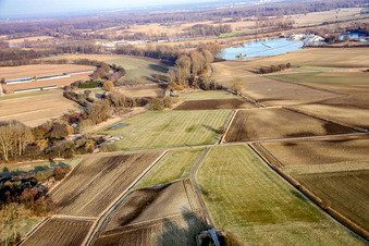 Vue aérienne de Prairies à Kuhardt dans le département Rhénanie-Palatinat, Allemagne