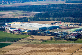Construction d'un nouveau hall logistique dans la zone industrielle d'Am Horst à le quartier Minderslachen in Kandel dans le département Rhénanie-Palatinat, Allemagne vue du ciel